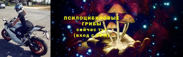 стафф Дмитриев