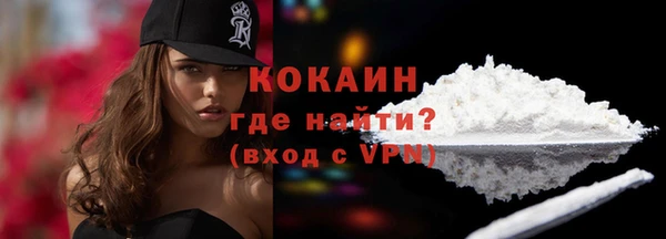 ALPHA PVP Гусев