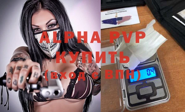 стафф Дмитриев
