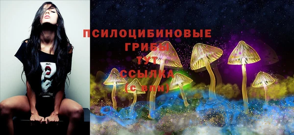 стафф Дмитриев