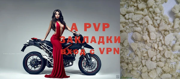 стафф Дмитриев