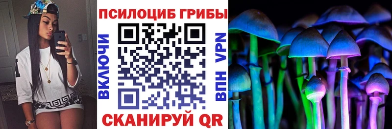 Псилоцибиновые грибы MAGIC MUSHROOMS  Купить  Кувшиново 